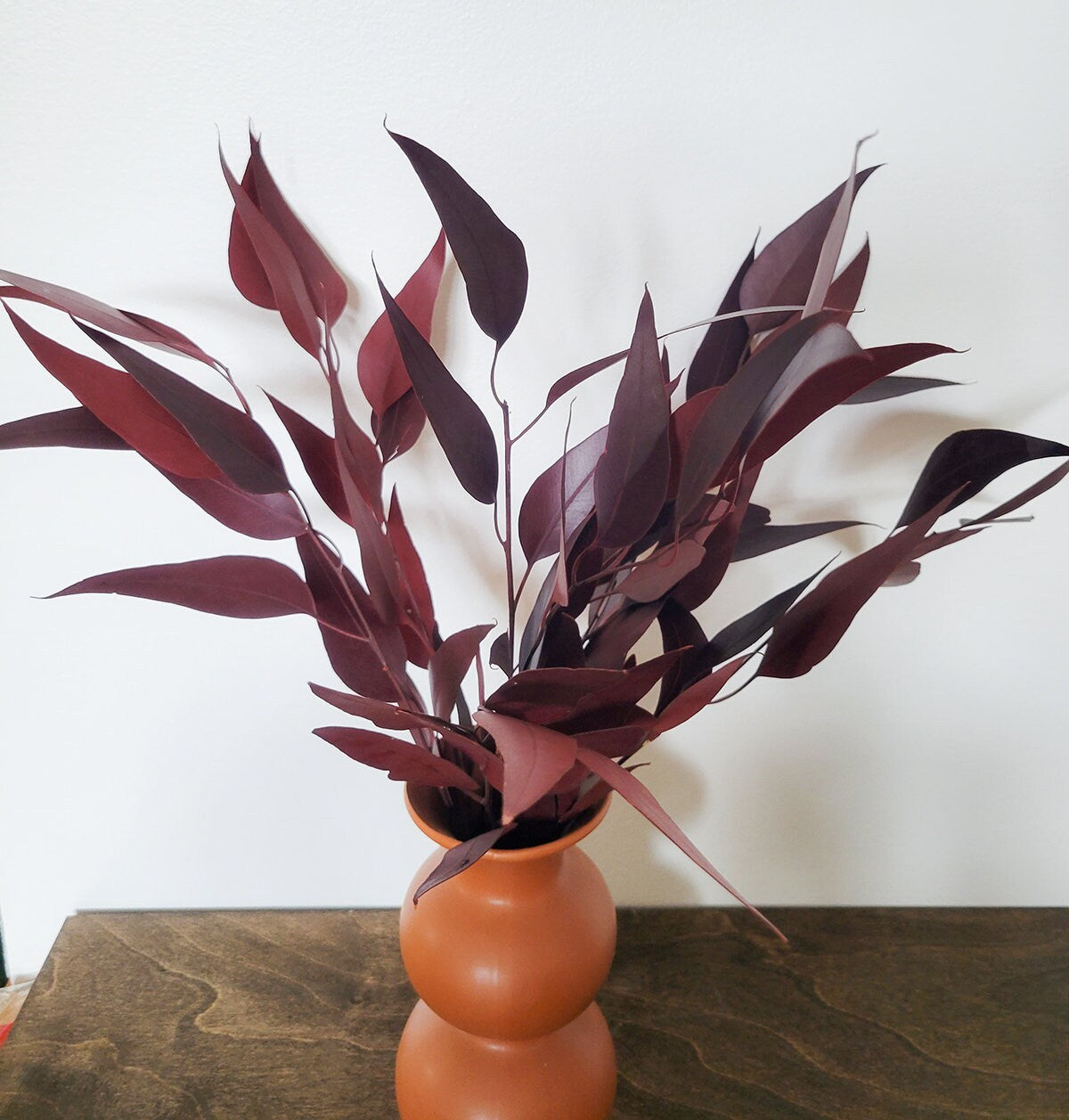 Bundle of Merlot Preserved Willow Eucalyptus