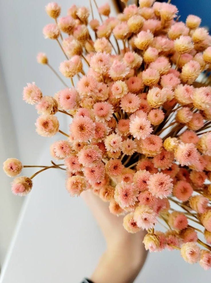Natural Dried Blush Happy Flower Bundle - Mossy Moss by Olia