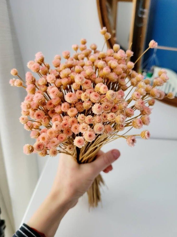 Natural Dried Blush Happy Flower Bundle - Mossy Moss by Olia
