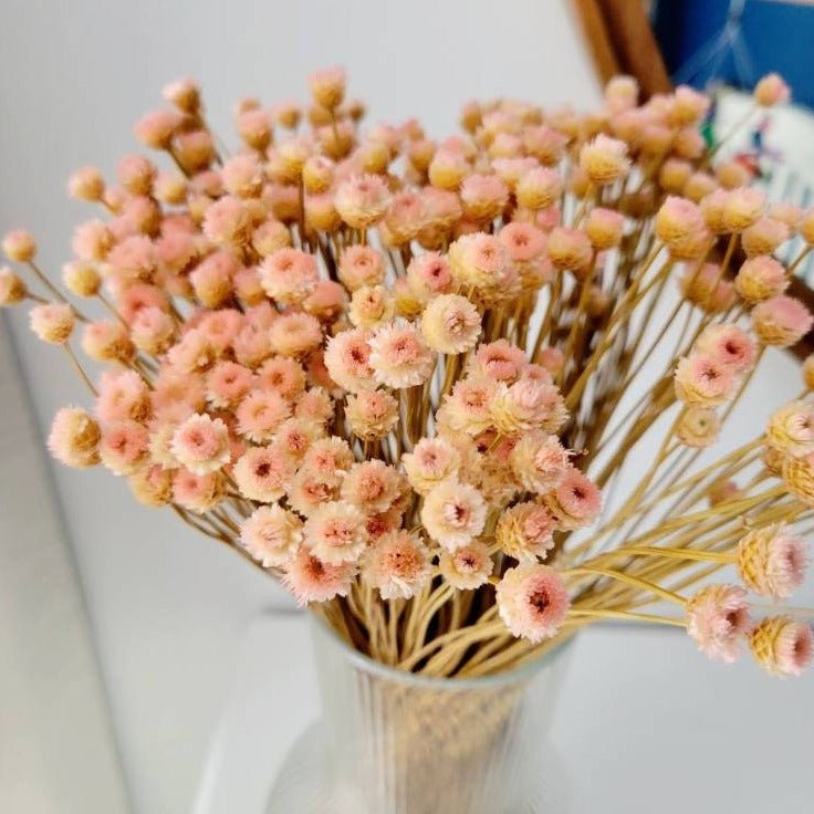 Natural Dried Blush Happy Flower Bundle - Mossy Moss by Olia