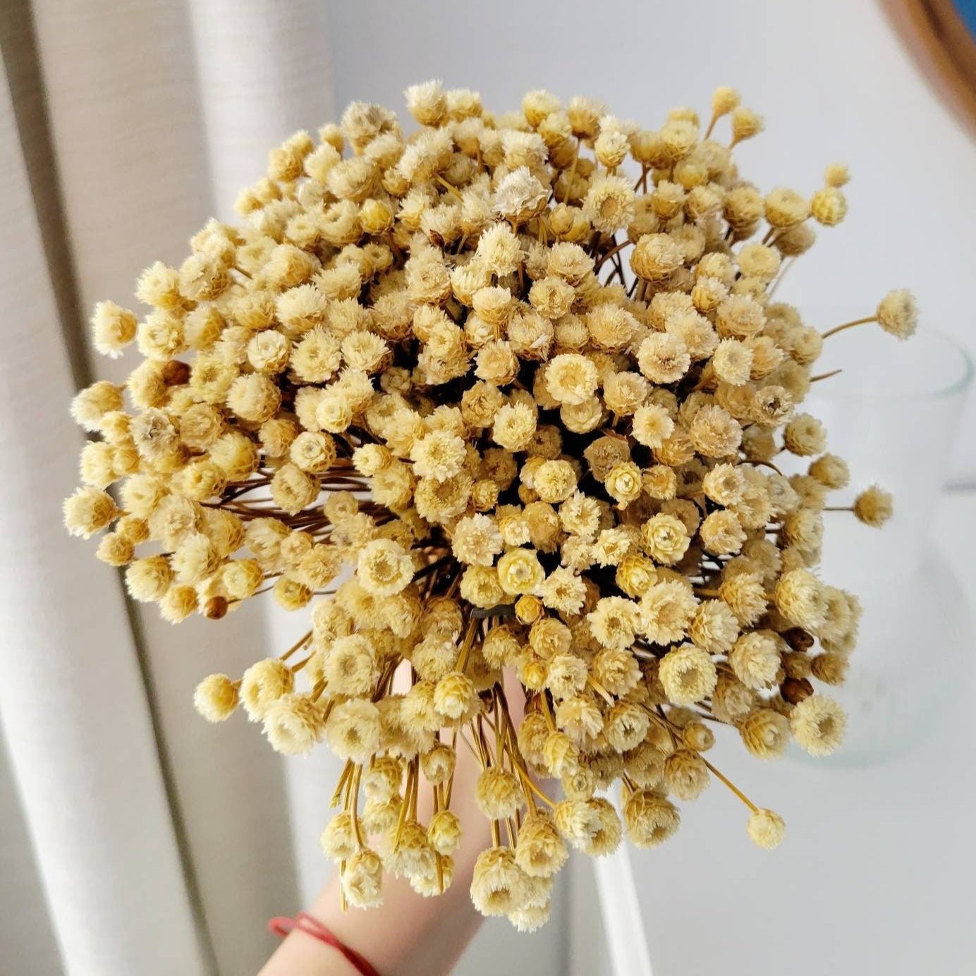 Natural Dried Blush Happy Flower Bundle - Mossy Moss by Olia