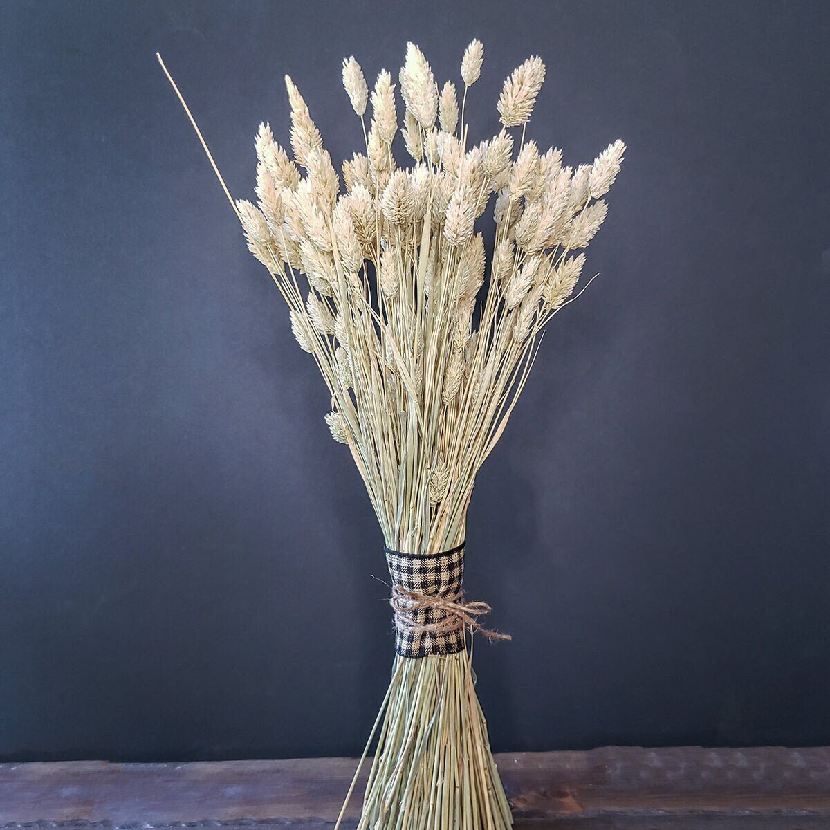 Natural Dried Phalaris Grass - Mossy Moss by Olia