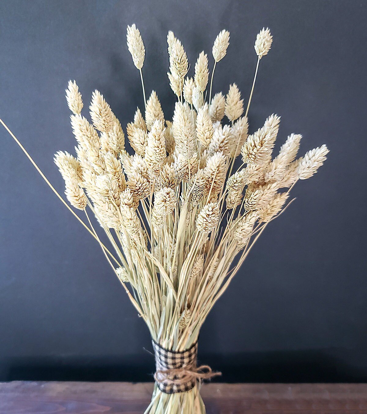 Natural Dried Phalaris Grass - Mossy Moss by Olia