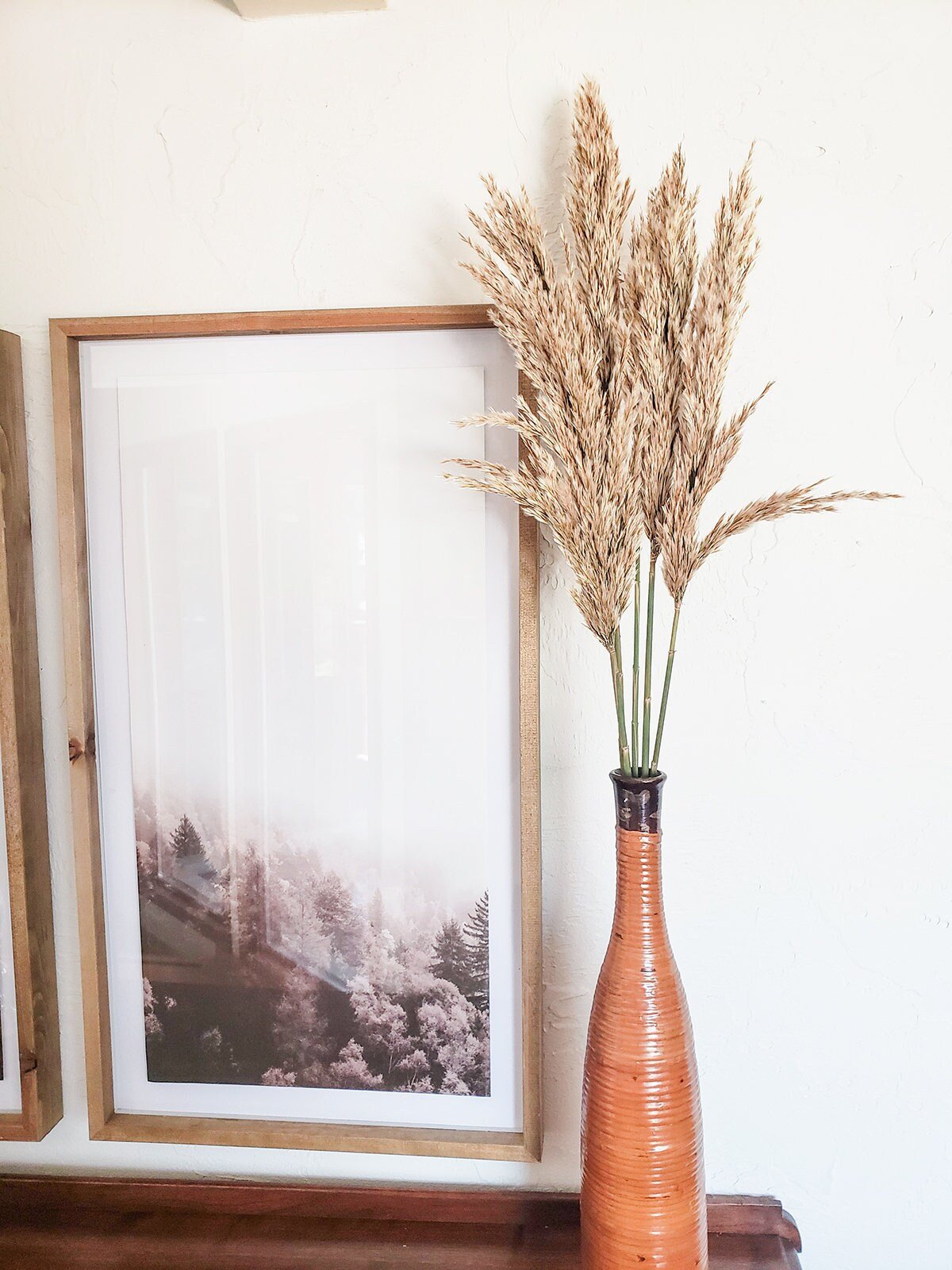 Natural Preserved Plume Reed - Mossy Moss by Olia