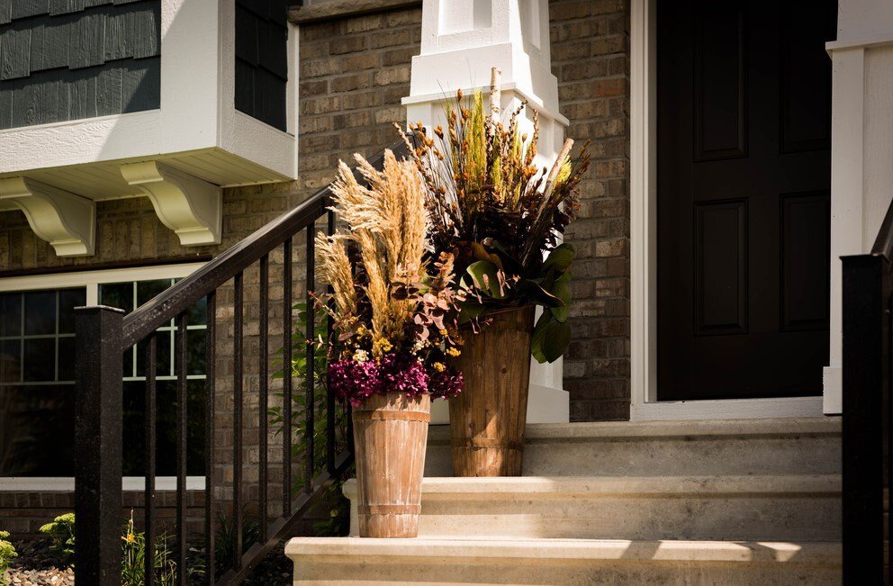 Natural Preserved Plume Reed - Mossy Moss by Olia