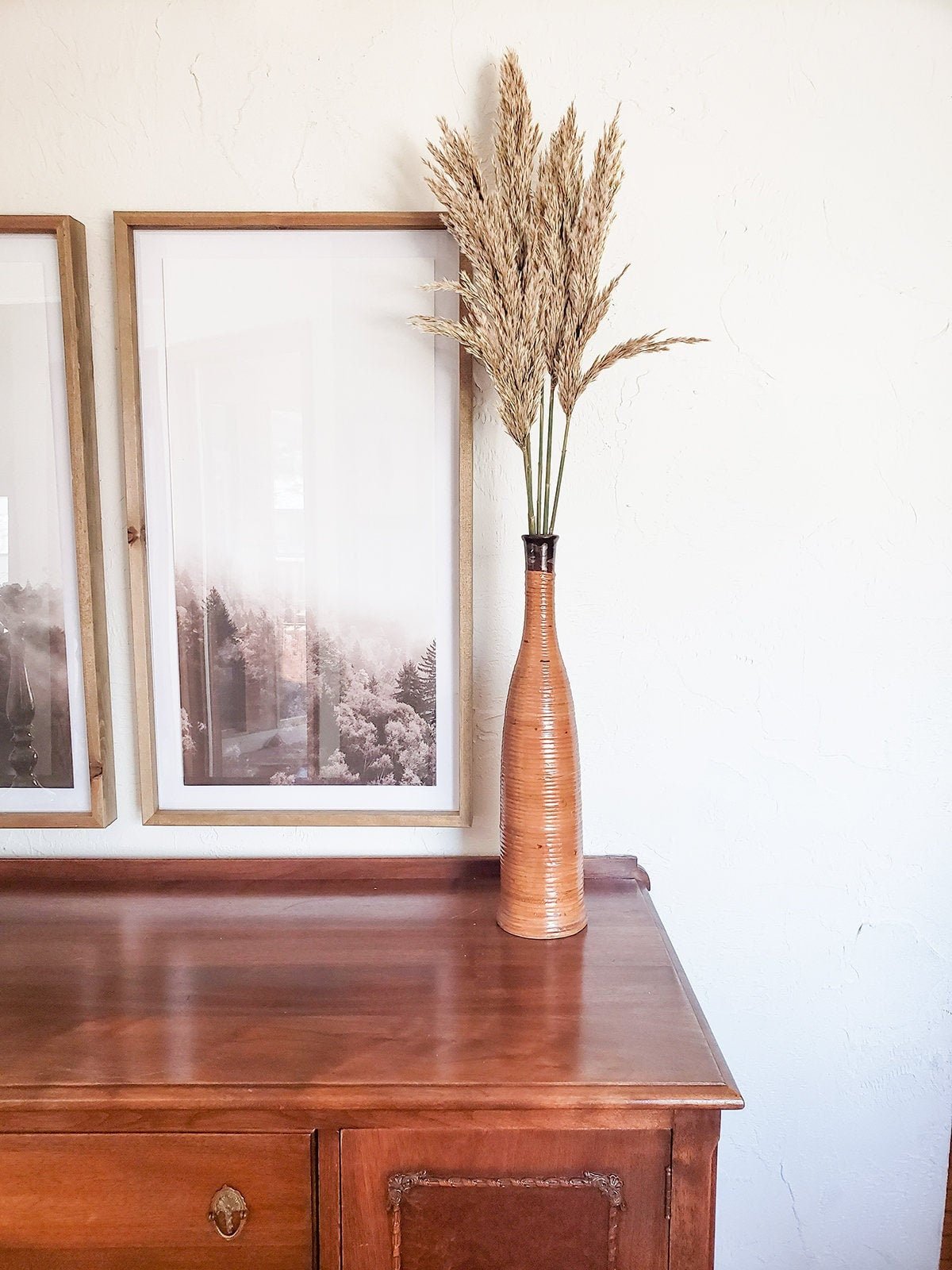 Natural Preserved Plume Reed - Mossy Moss by Olia