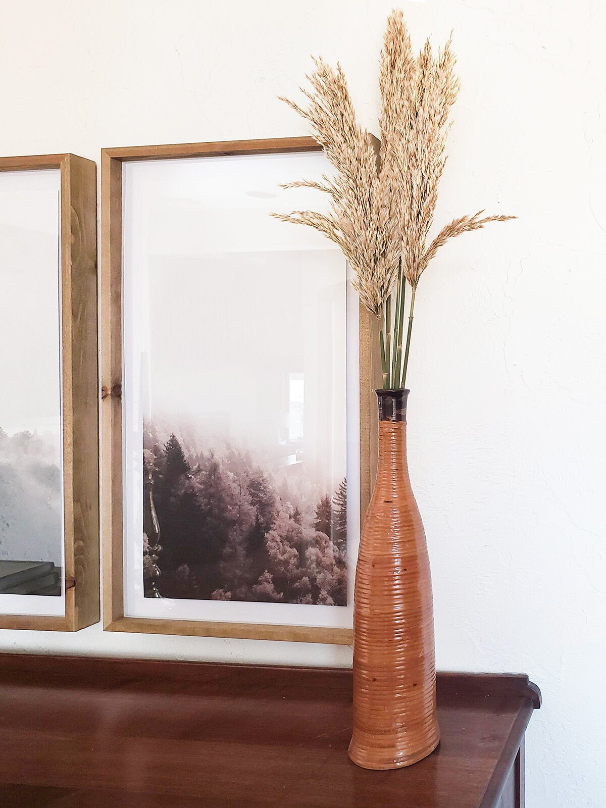 Natural Preserved Plume Reed - Mossy Moss by Olia