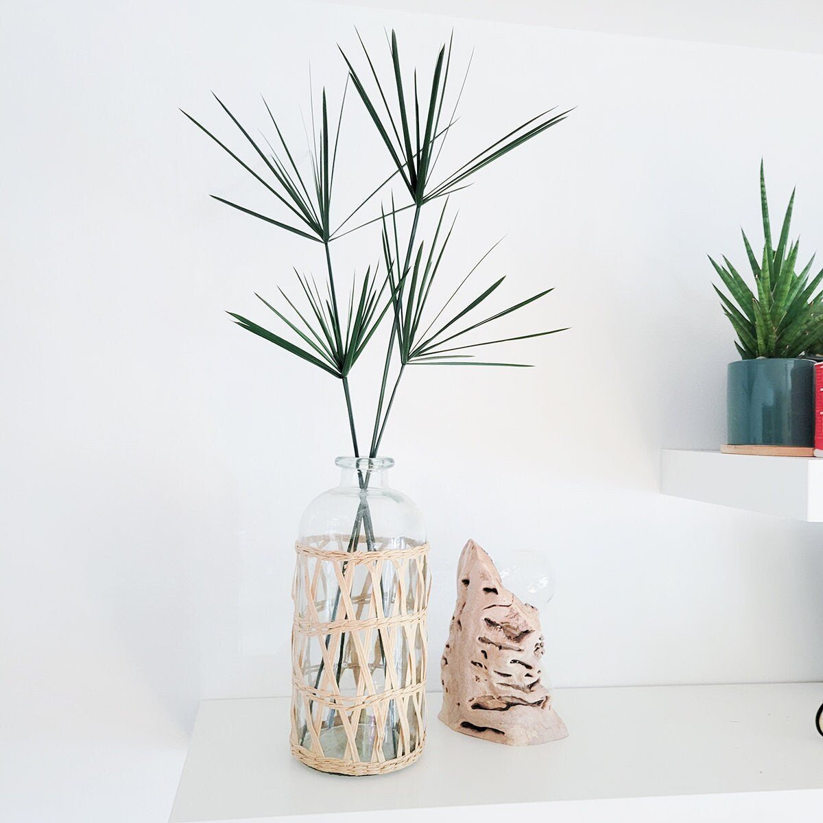 Preserved 24-28" Green Papyrus 6 Stem Bunch - Mossy Moss by Olia