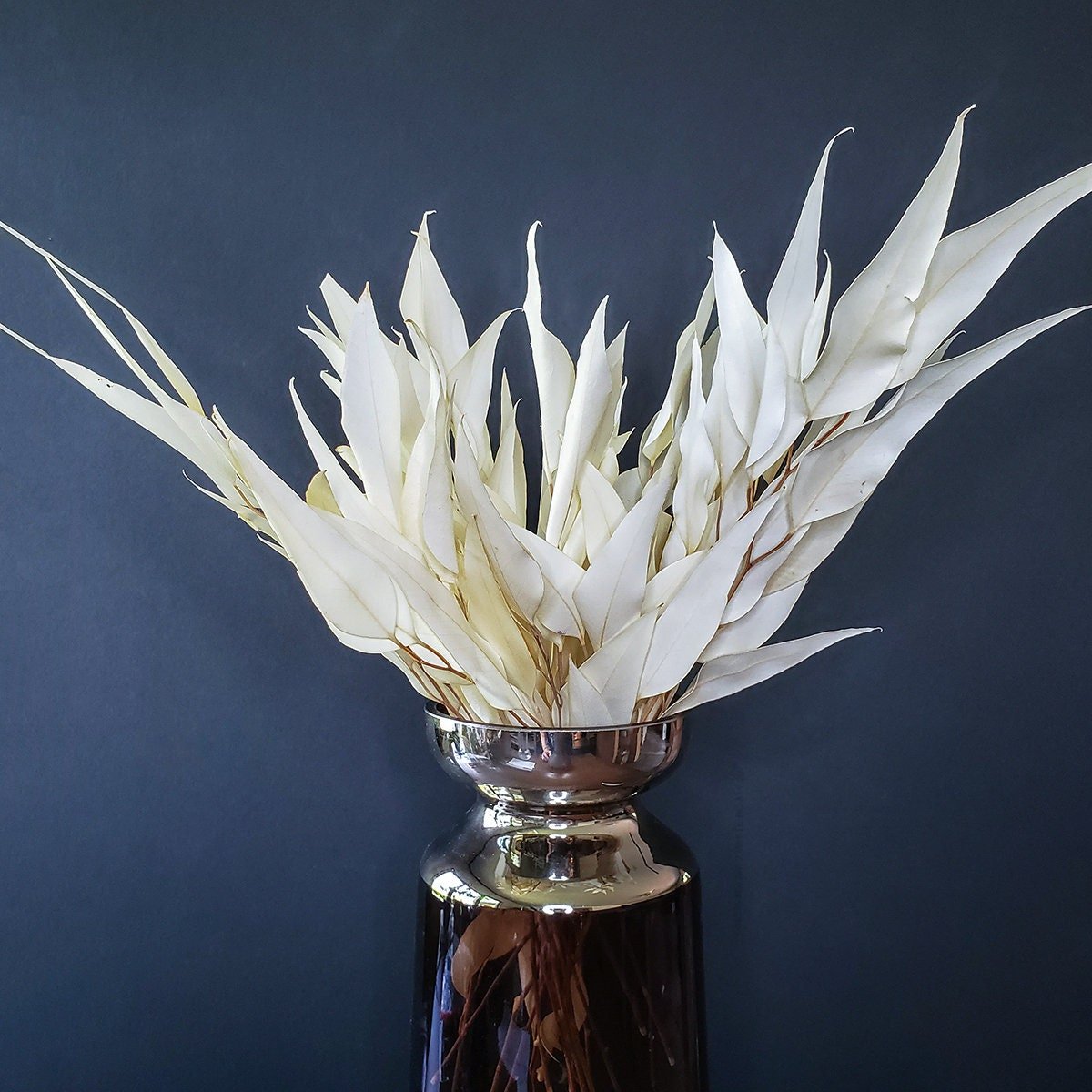 Preserved Bleached White Eucalyptus Willow - Mossy Moss by Olia