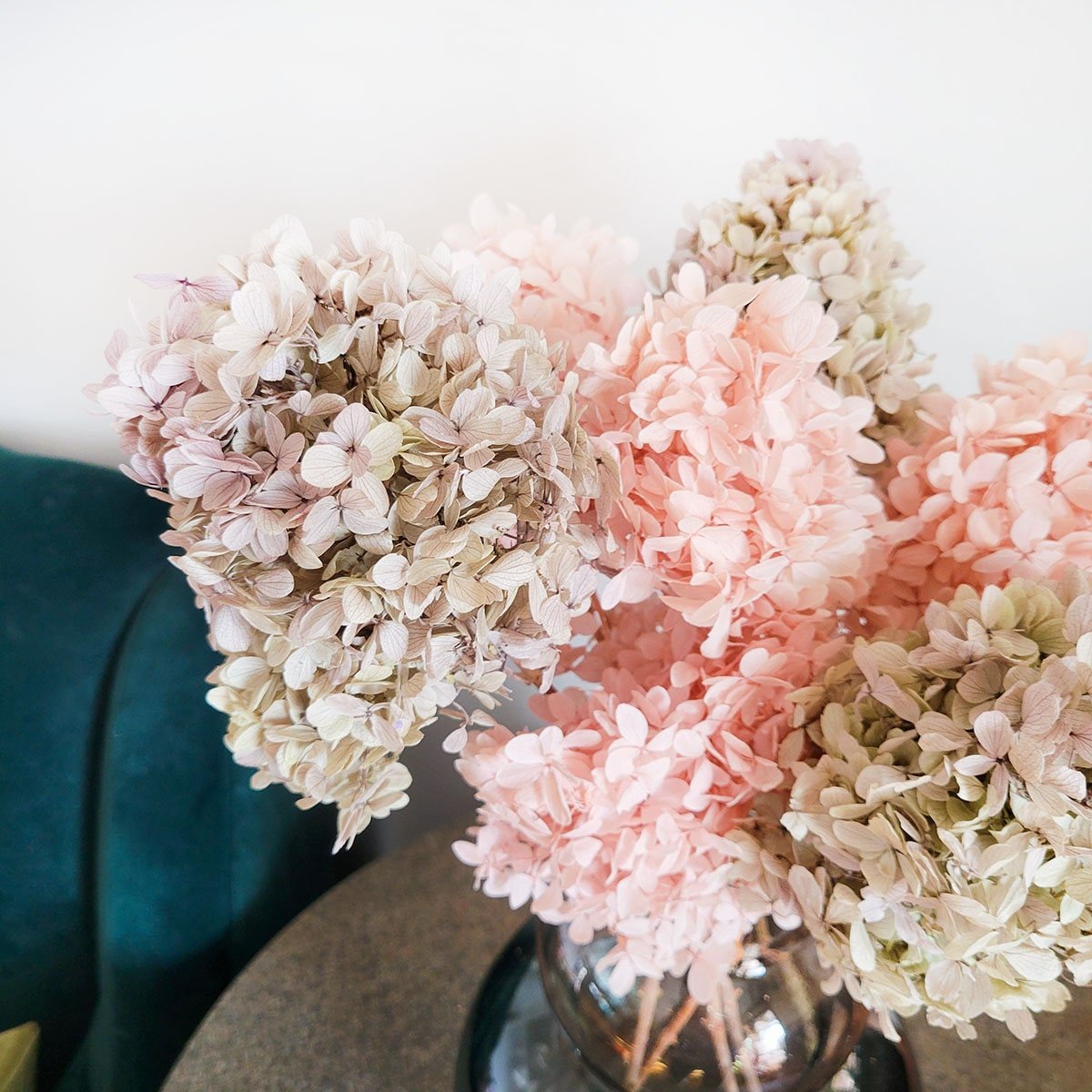 Preserved Blush pink or Purple Gray Hydrangea - Mossy Moss by Olia