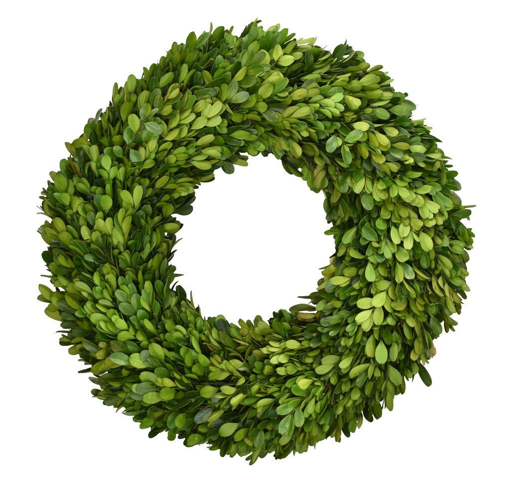 Preserved Boxwood Wreath - Mossy Moss by Olia