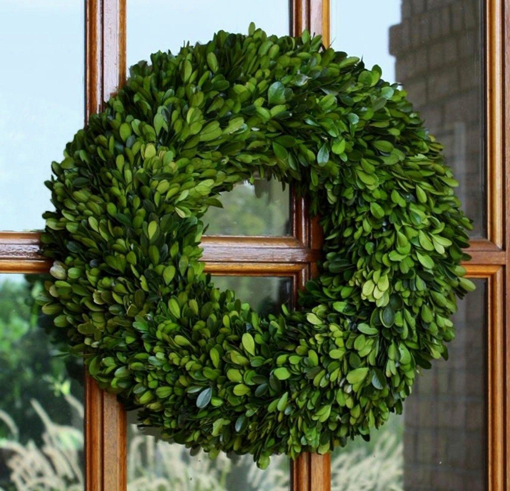Preserved Boxwood Wreath - Mossy Moss by Olia