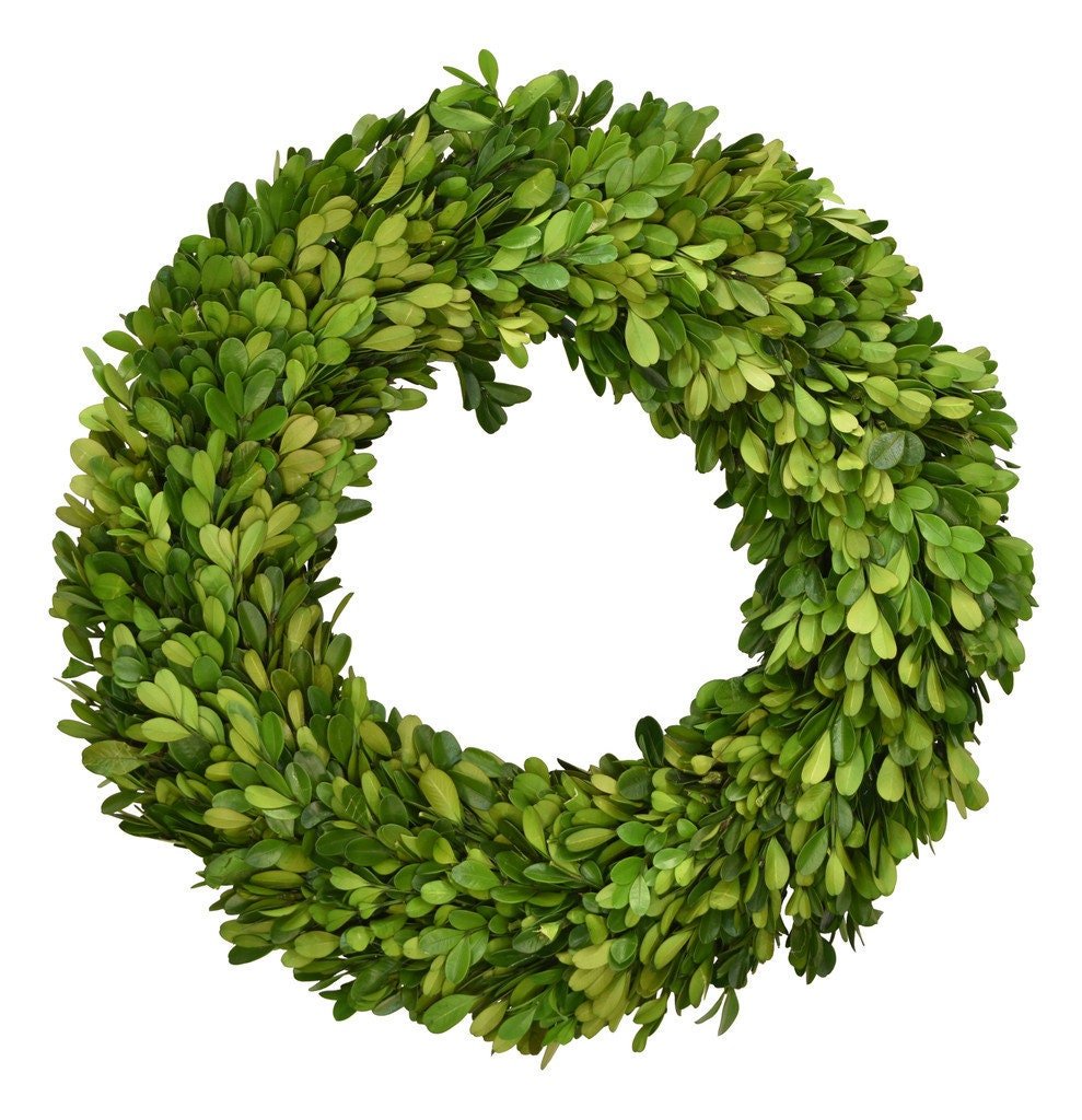 Preserved Boxwood Wreath - Mossy Moss by Olia