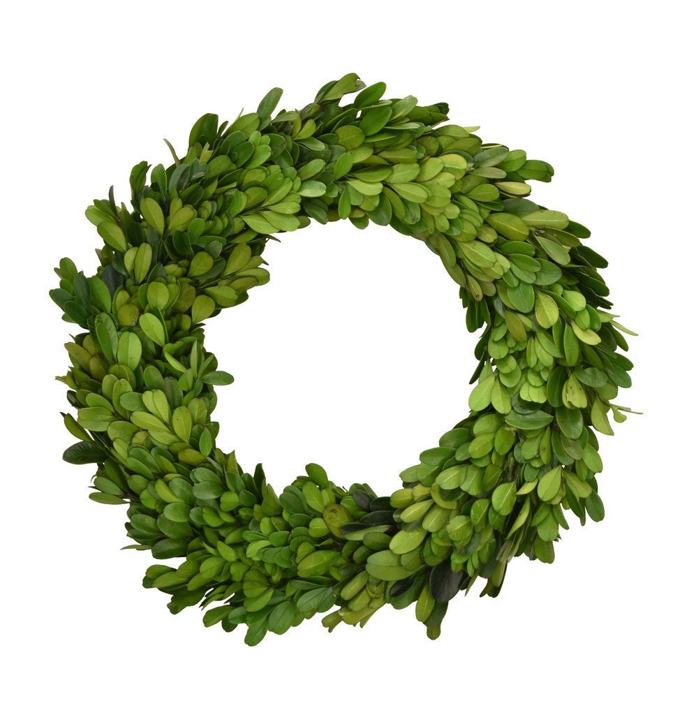 Preserved Boxwood Wreath - Mossy Moss by Olia