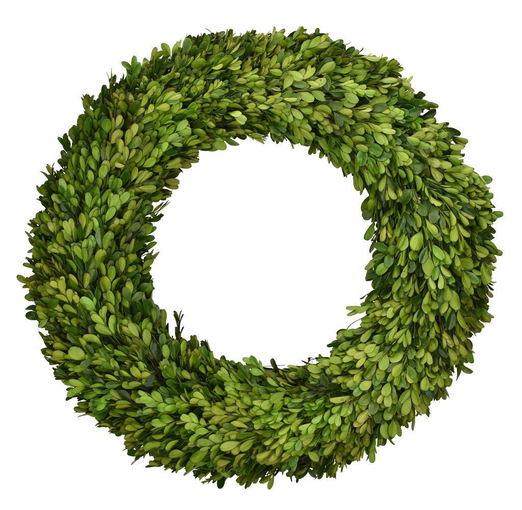 Preserved Boxwood Wreath - Mossy Moss by Olia