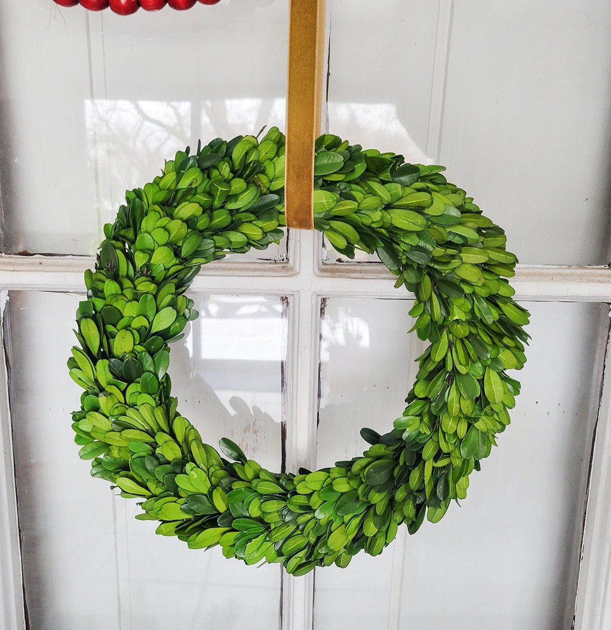 Preserved Boxwood Wreath - Mossy Moss by Olia