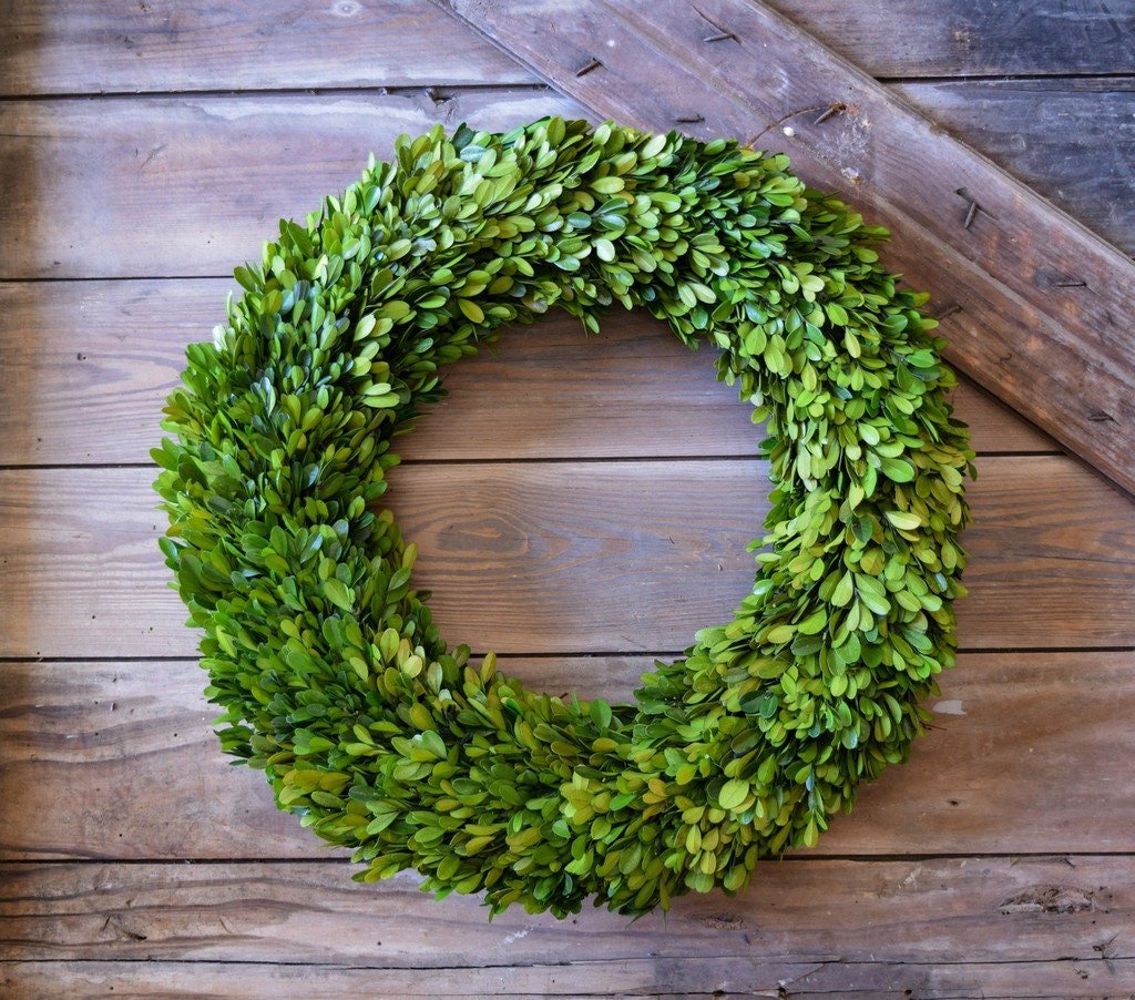 Preserved Boxwood Wreath - Mossy Moss by Olia