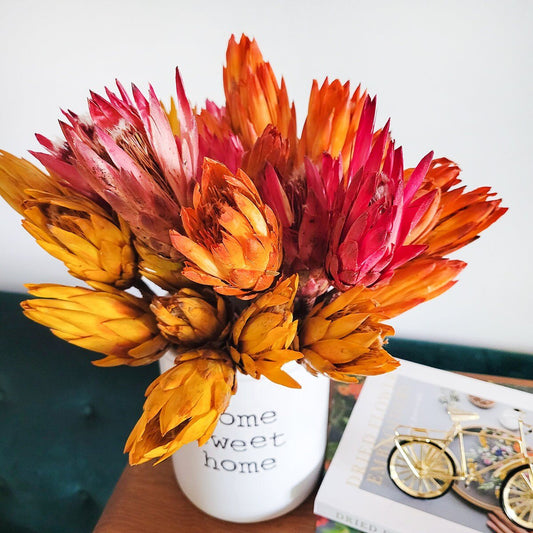 Preserved Colorful Protea Repens - Mossy Moss by Olia