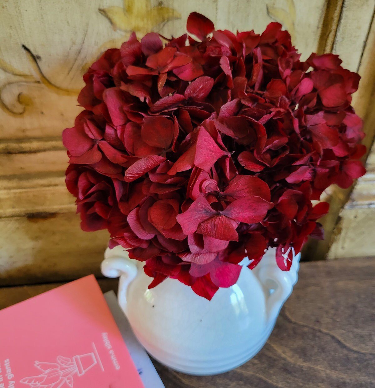 Preserved deep dark red Hydrangeas - Mossy Moss by Olia