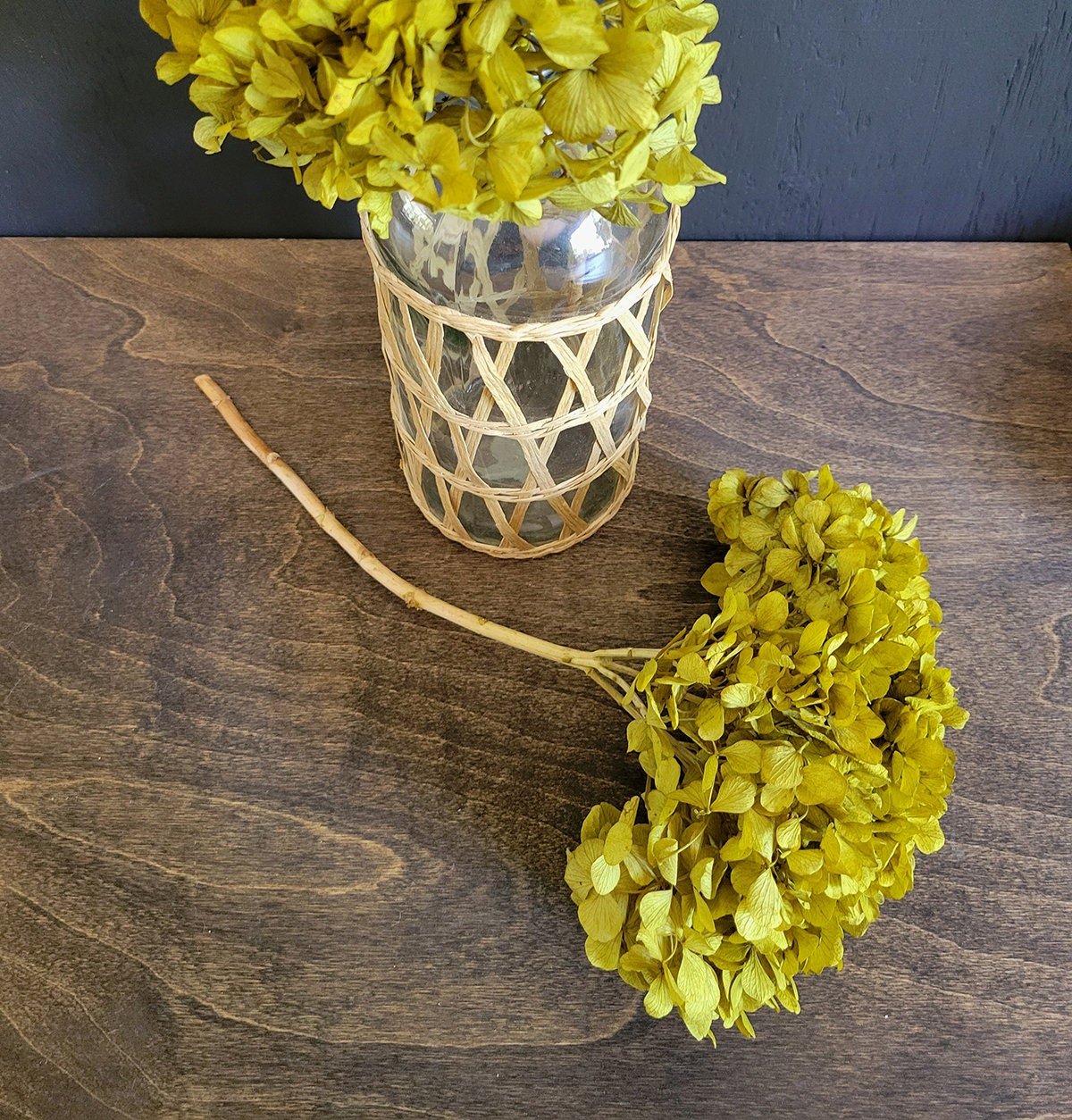 Preserved Hydrangeas Antique Moss Color - Mossy Moss by Olia