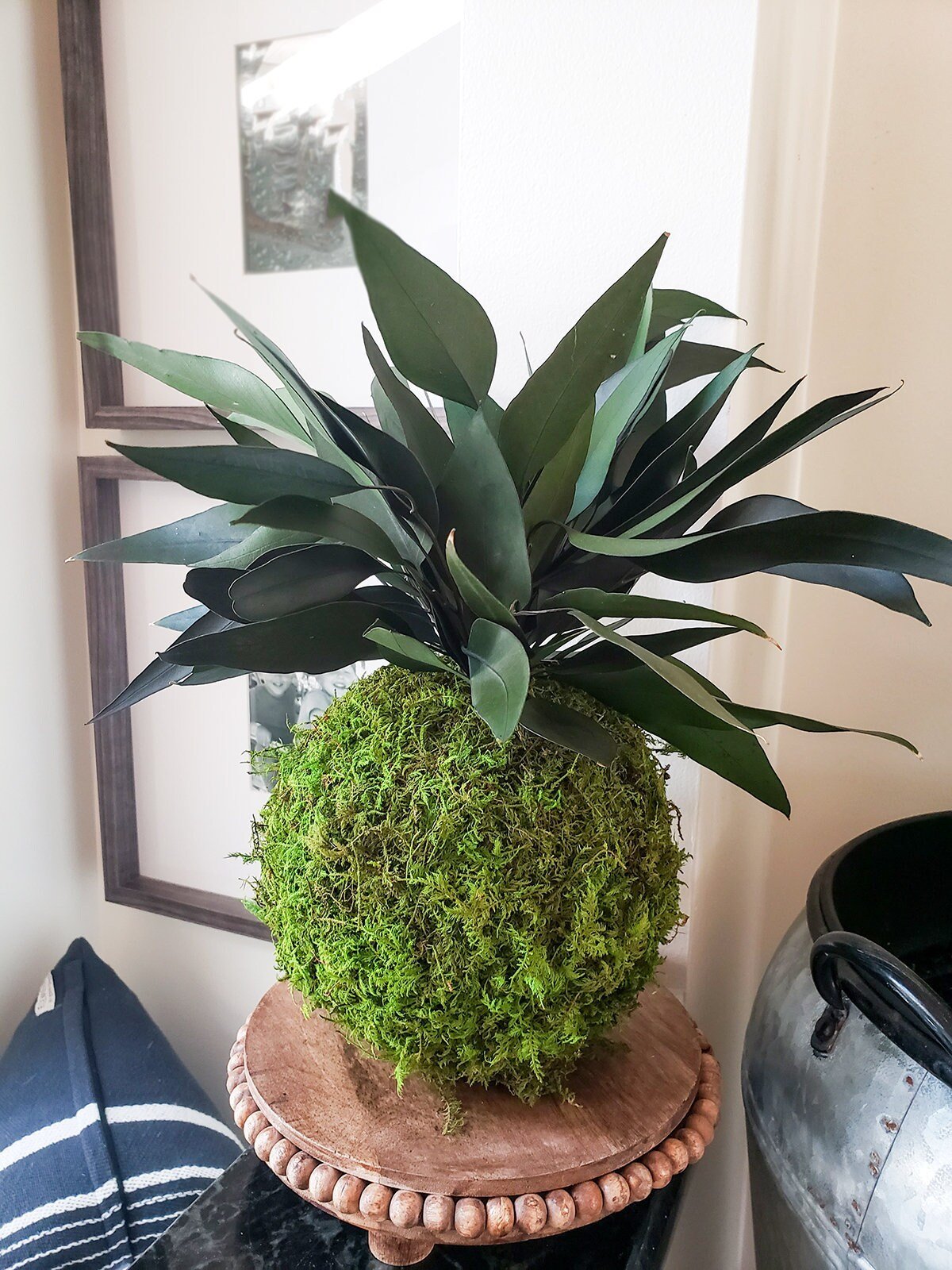 Preserved Kokedama with Real preserved Weeping Willow Eucalyptus - Mossy Moss by Olia