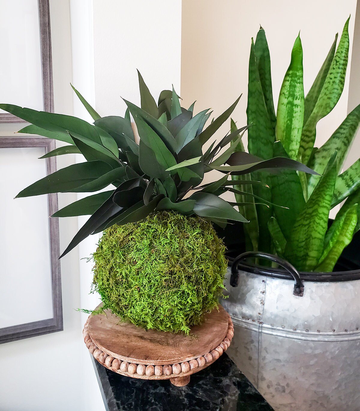 Preserved Kokedama with Real preserved Weeping Willow Eucalyptus - Mossy Moss by Olia