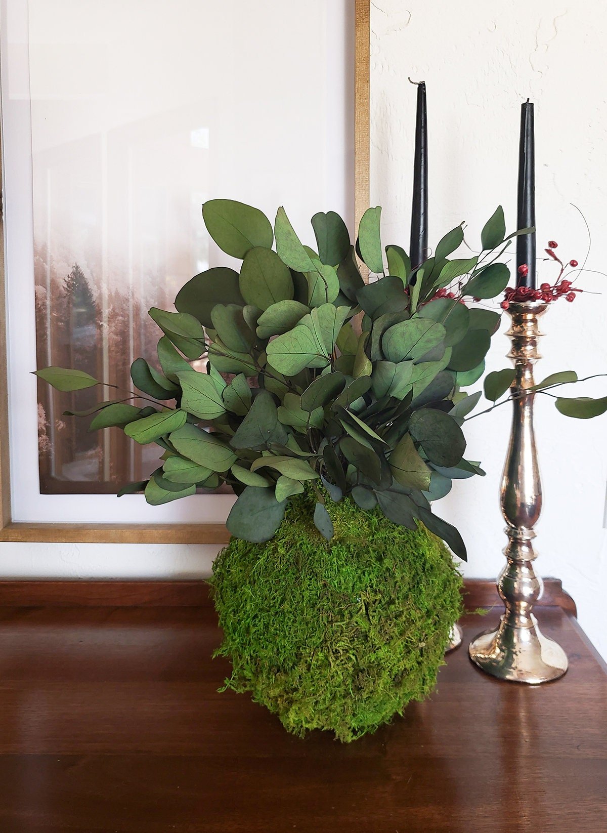Preserved Kokedama with Silver Dollar Eucalyptus - Mossy Moss by Olia