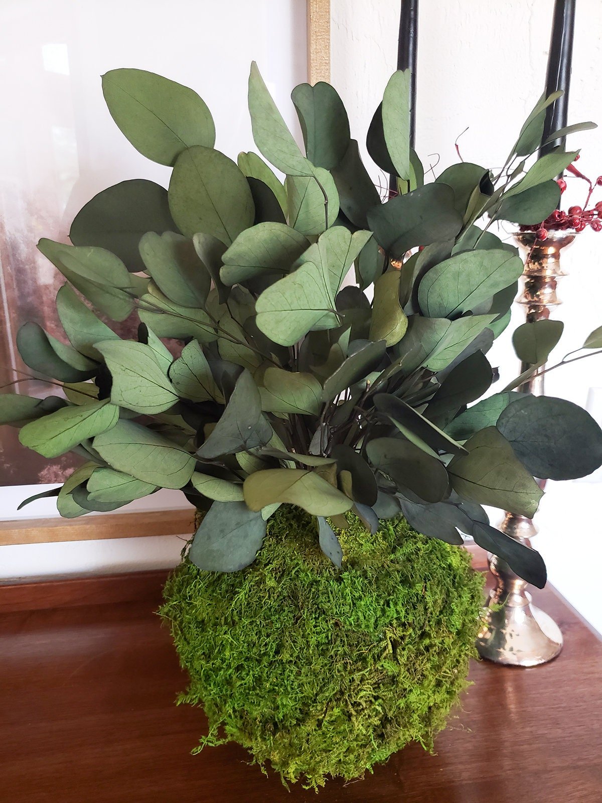 Preserved Kokedama with Silver Dollar Eucalyptus - Mossy Moss by Olia