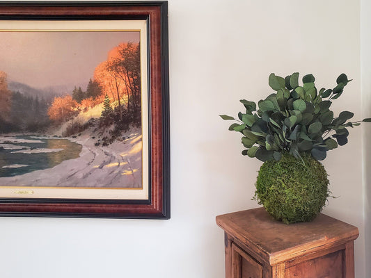 Preserved Kokedama with Silver Dollar Eucalyptus - Mossy Moss by Olia