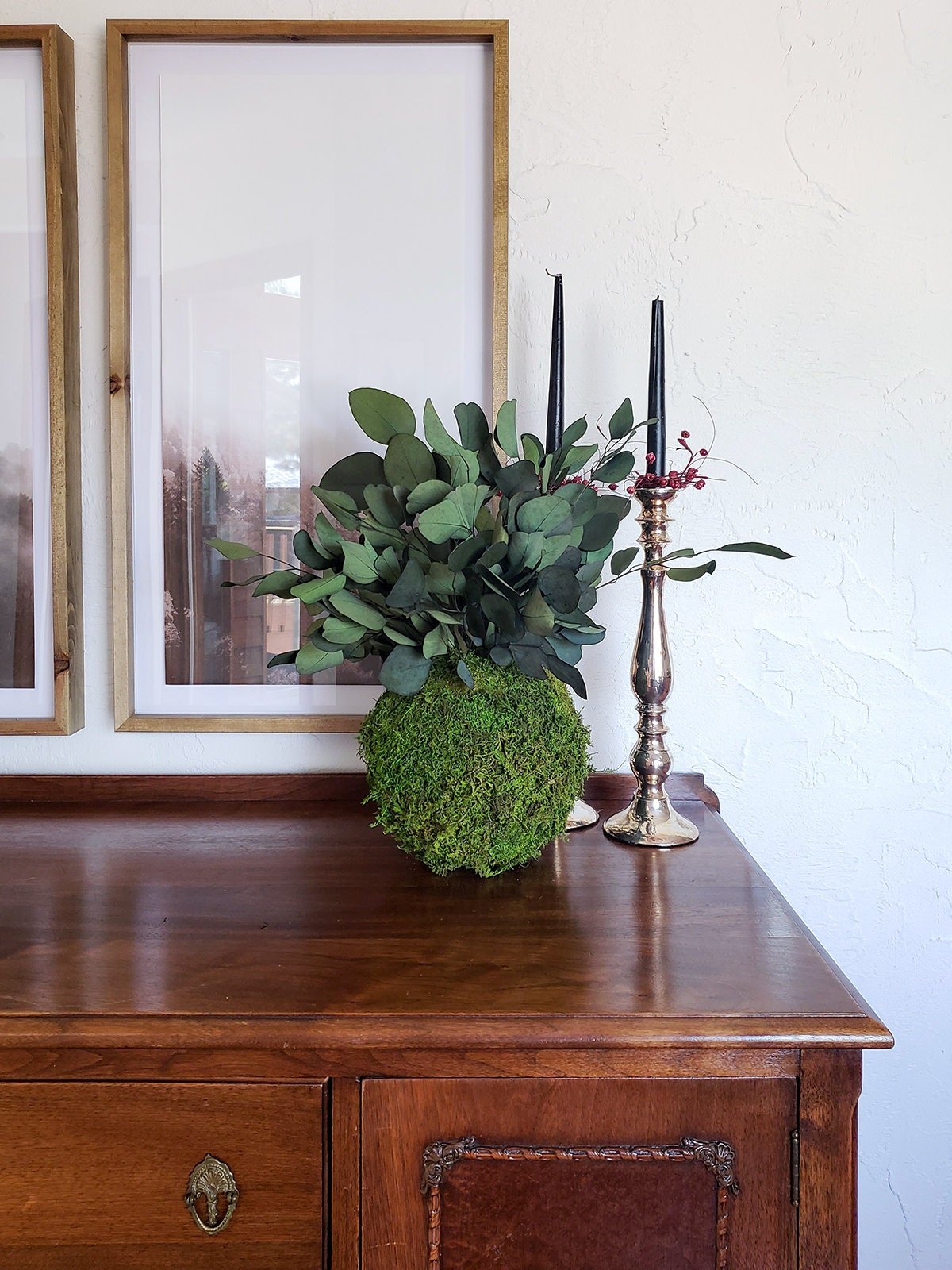 Preserved Kokedama with Silver Dollar Eucalyptus - Mossy Moss by Olia