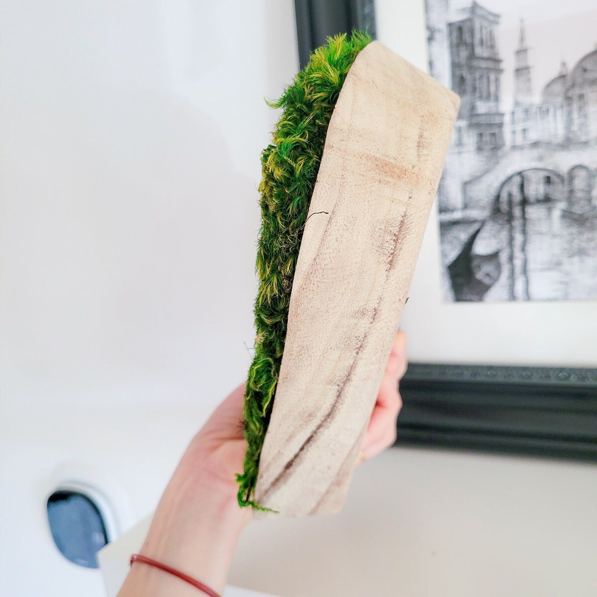 Preserved Mood Moss Heart in a wooden bowl - Mossy Moss by Olia