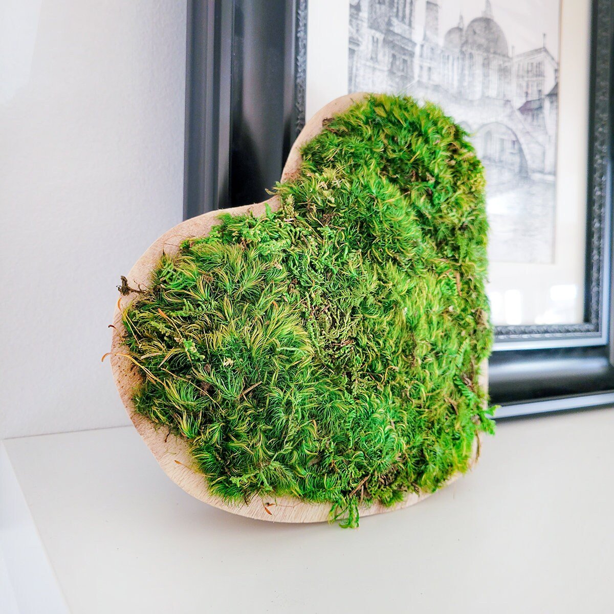 Preserved Mood Moss Heart in a wooden bowl - Mossy Moss by Olia