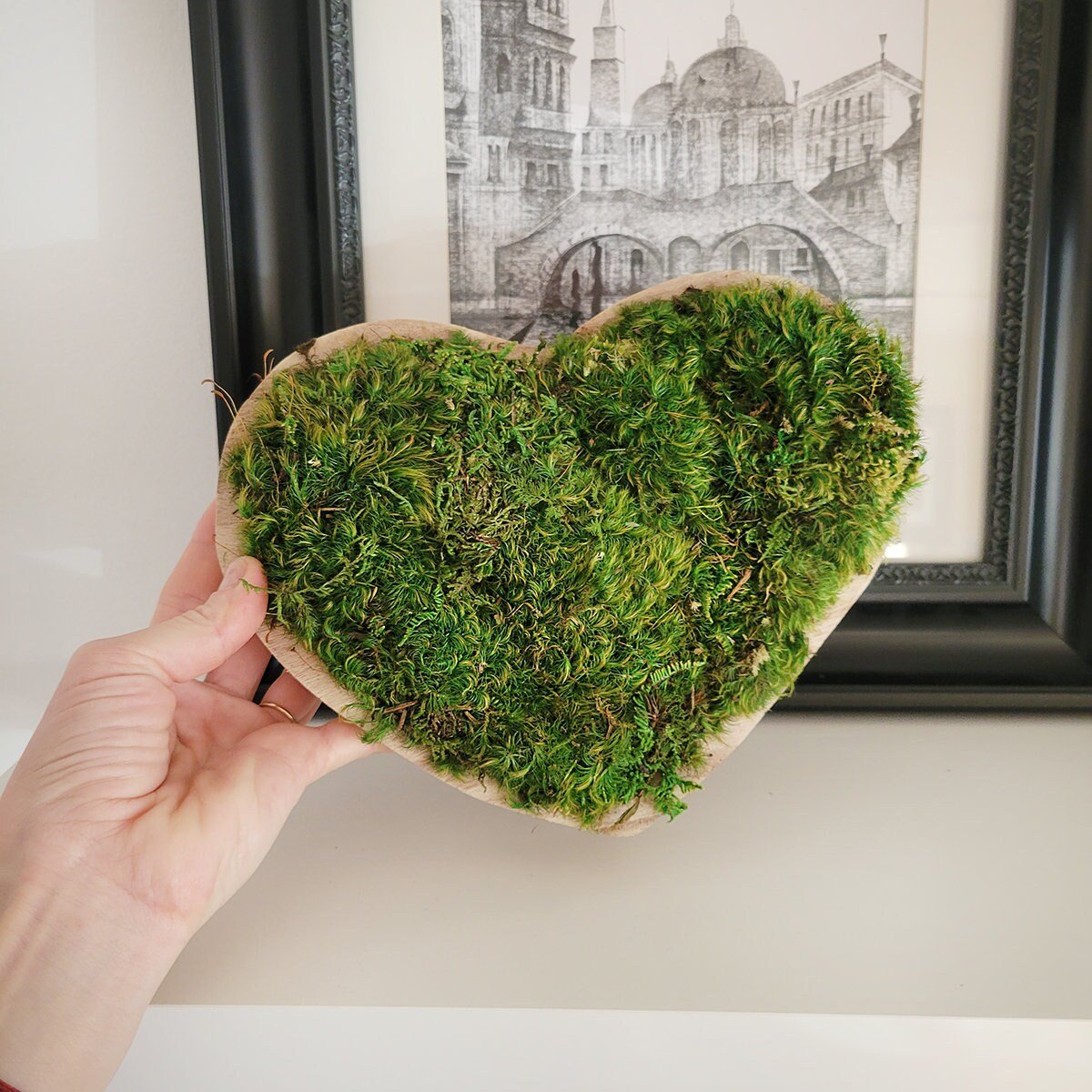 Preserved Mood Moss Heart in a wooden bowl - Mossy Moss by Olia