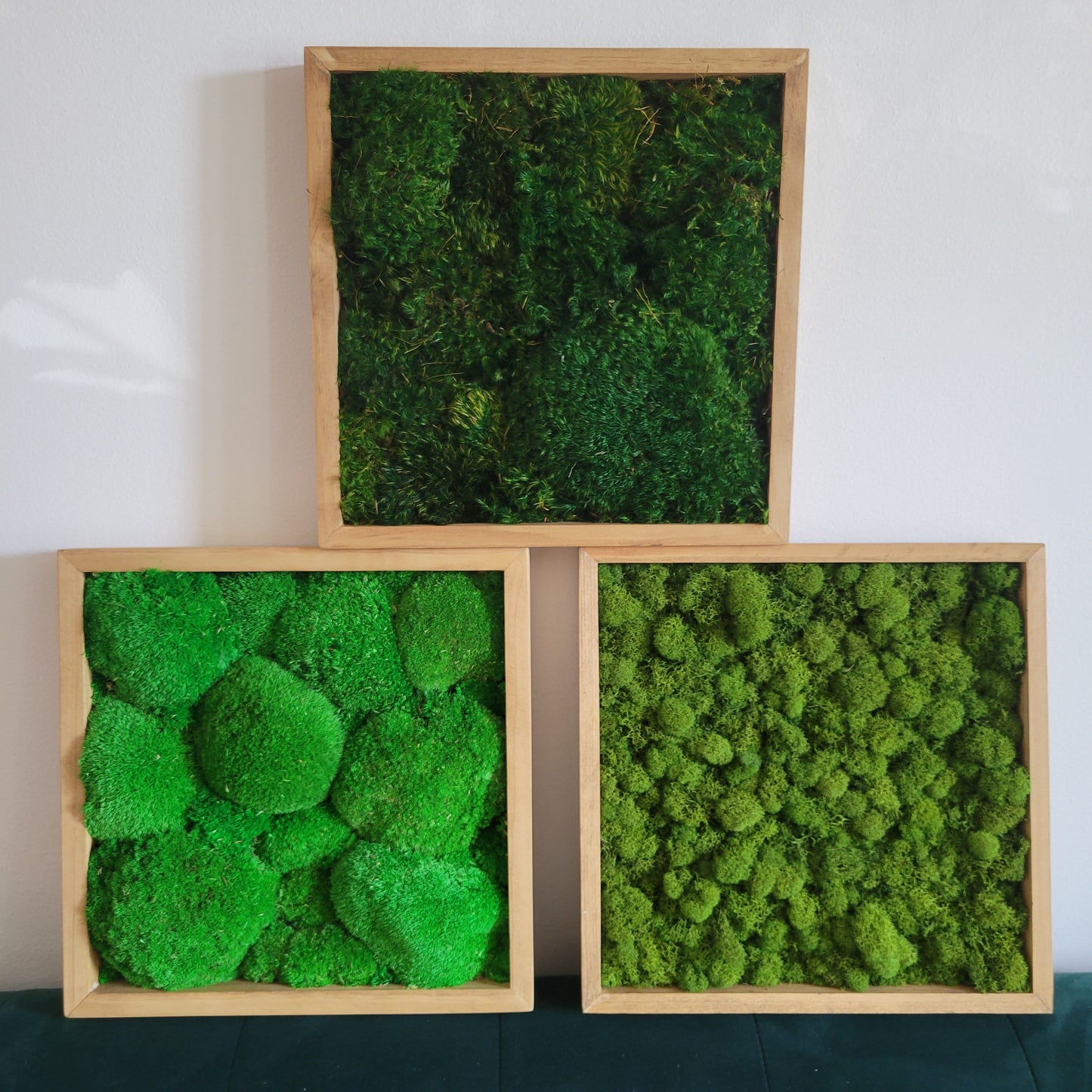 Preserved Moss Art - Mossy Moss by Olia