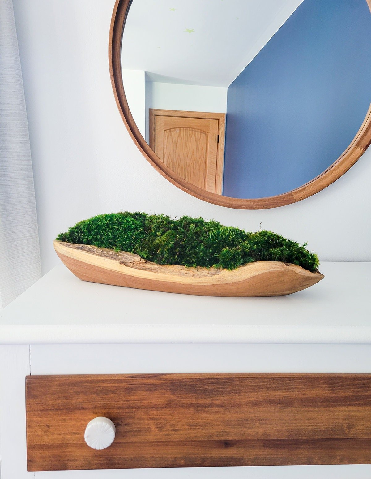 Preserved Moss Centerpiece - Mossy Moss by Olia