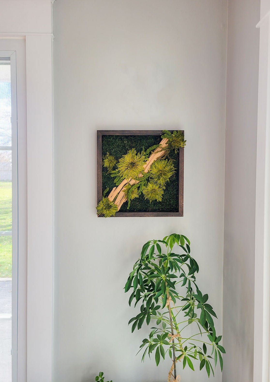 Preserved Moss Frame w Driftwood - Mossy Moss by Olia
