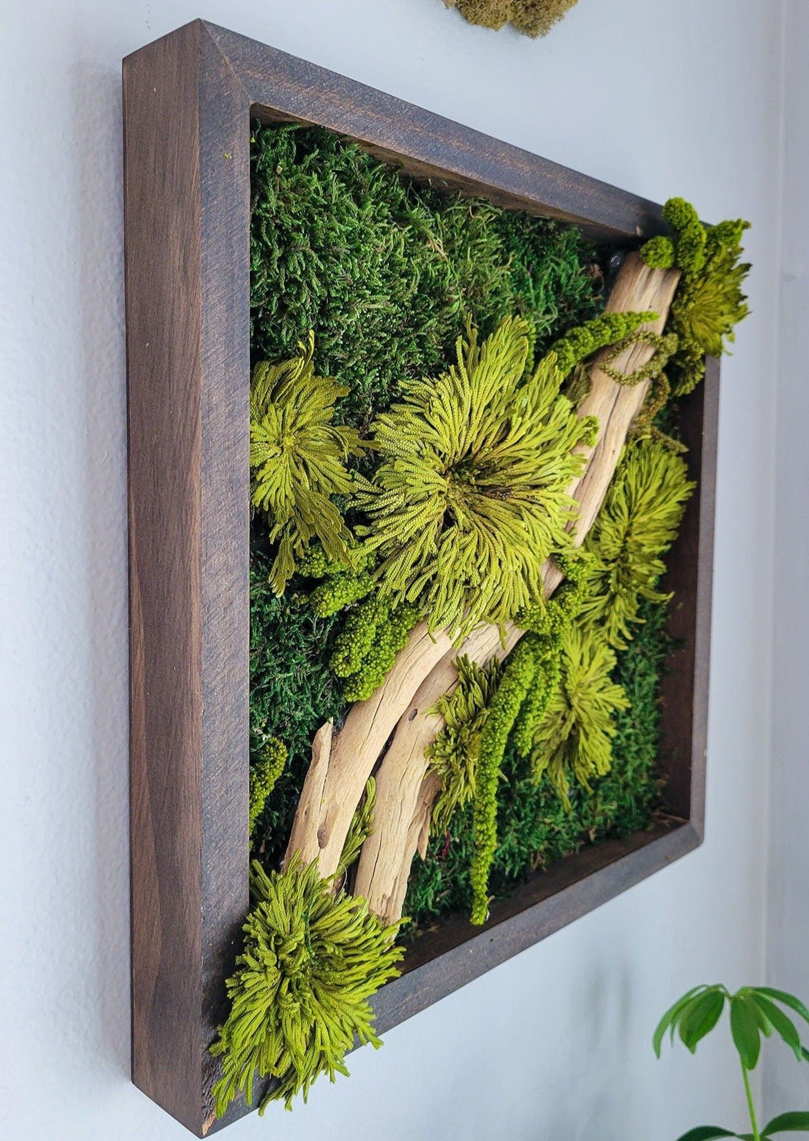 Preserved Moss Frame w Driftwood - Mossy Moss by Olia