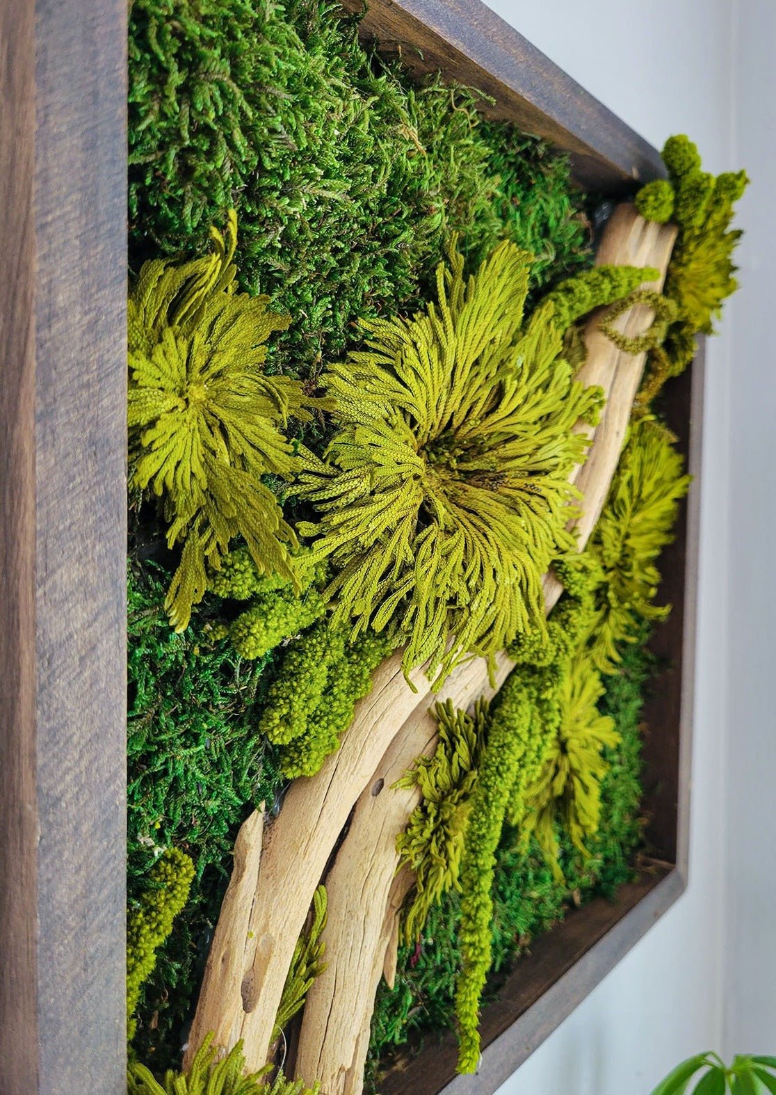 Preserved Moss Frame w Driftwood - Mossy Moss by Olia
