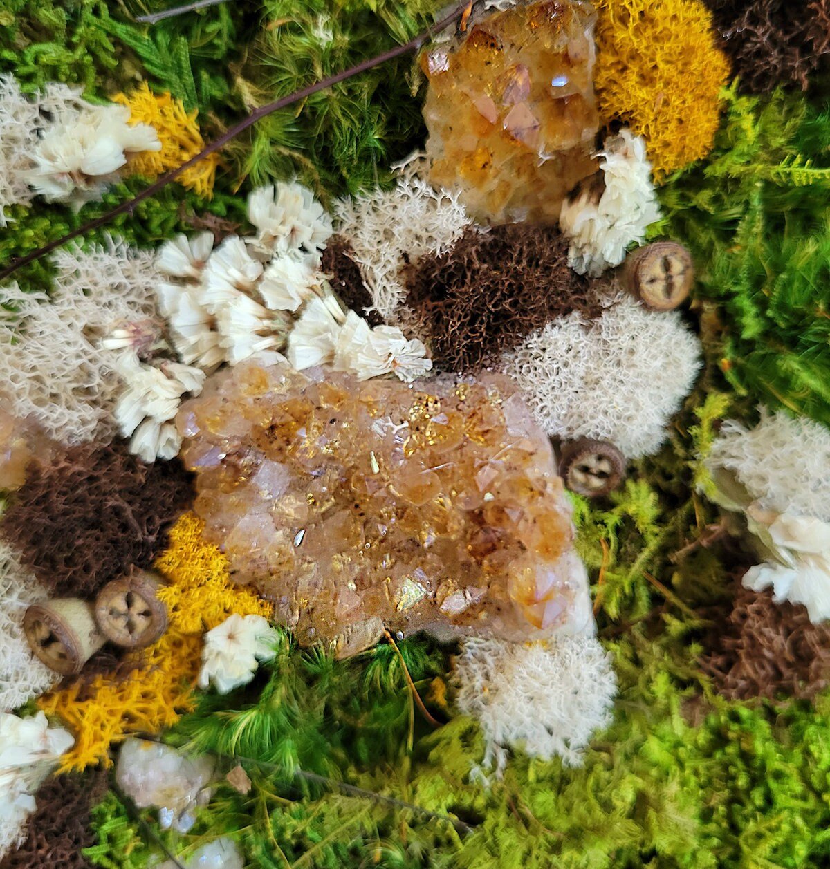 Preserved Moss Frame w Gems / Crystals - Mossy Moss by Olia
