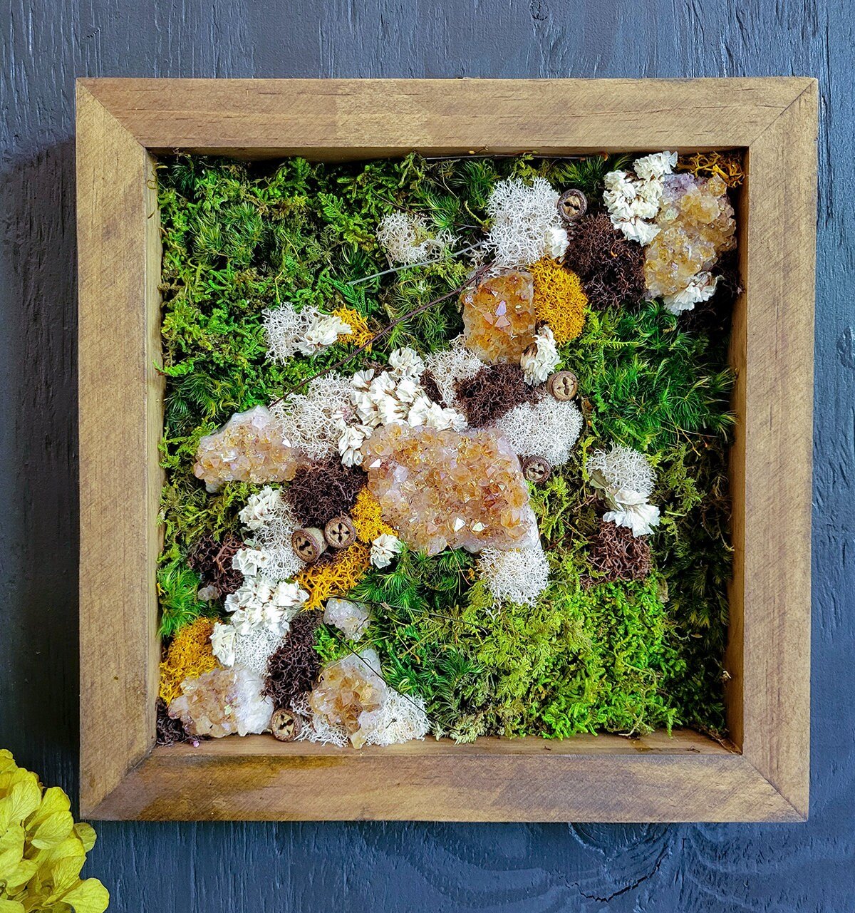 Preserved Moss Frame w Gems / Crystals - Mossy Moss by Olia