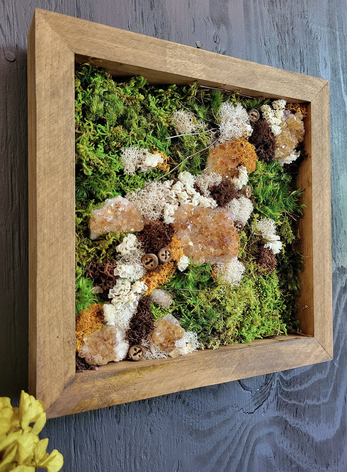 Preserved Moss Frame w Gems / Crystals - Mossy Moss by Olia