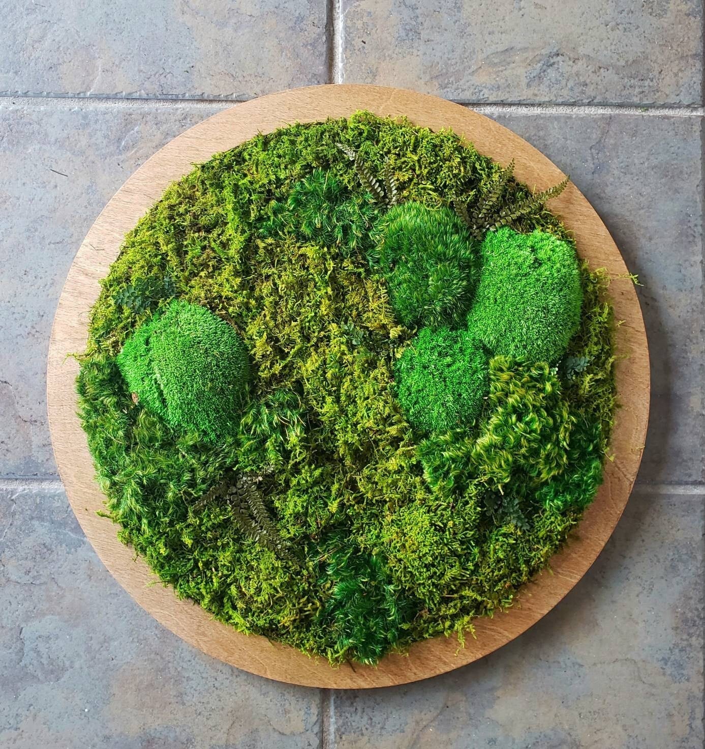 Preserved Moss Frames in a Circle Shape - Mossy Moss by Olia