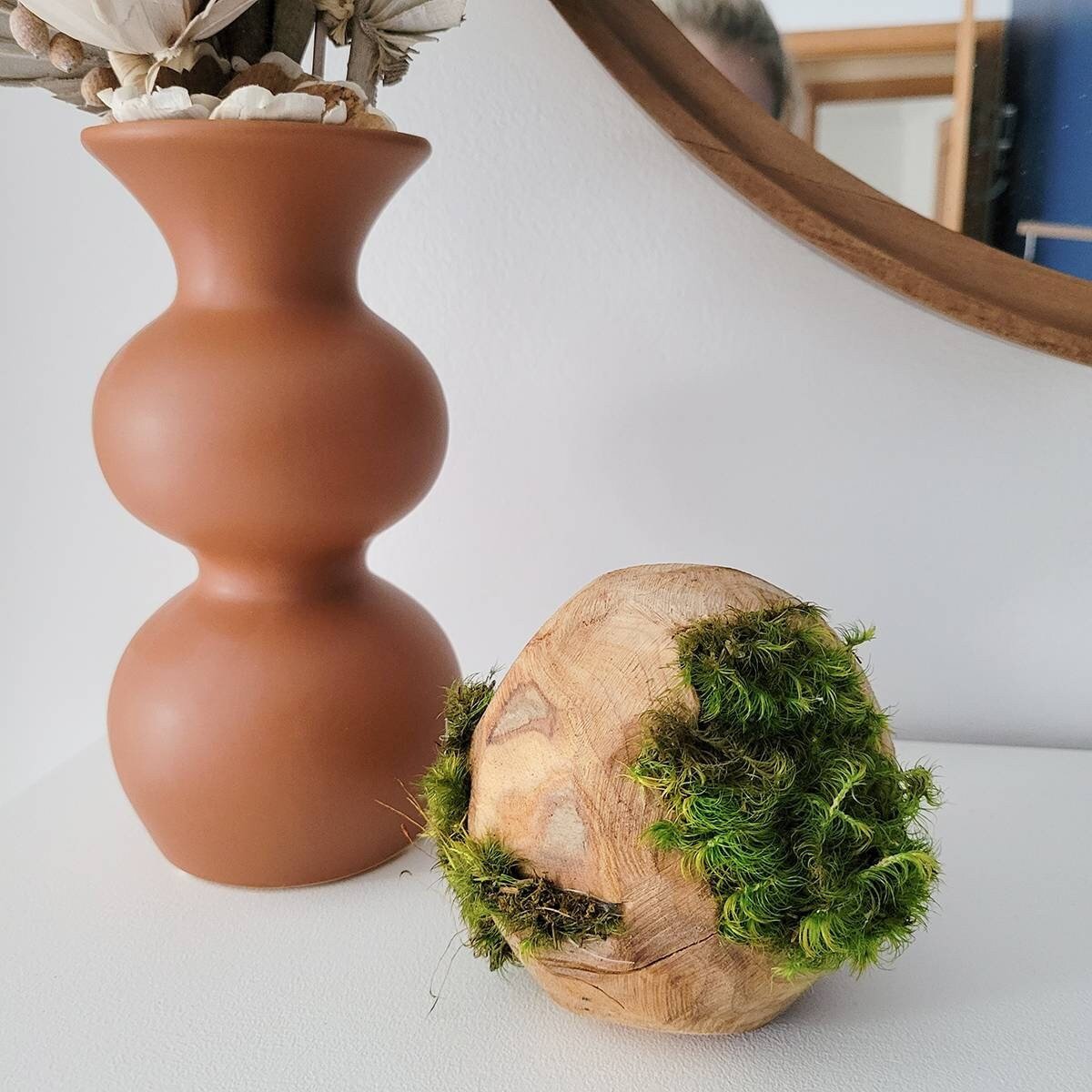 Preserved Moss hugging wooden carved orbs - Mossy Moss by Olia