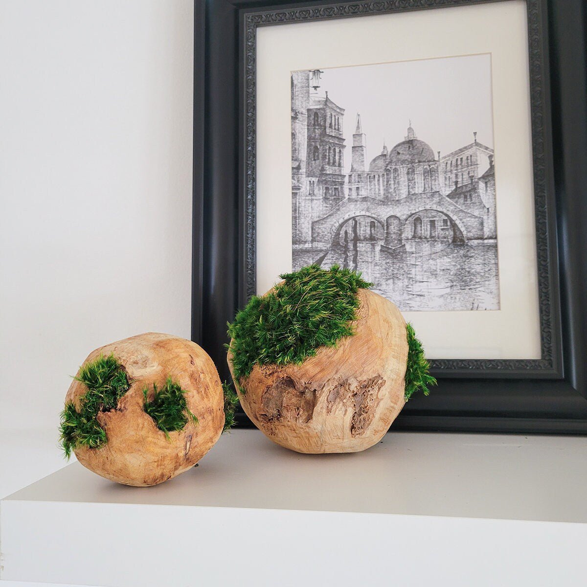 Preserved Moss hugging wooden carved orbs - Mossy Moss by Olia
