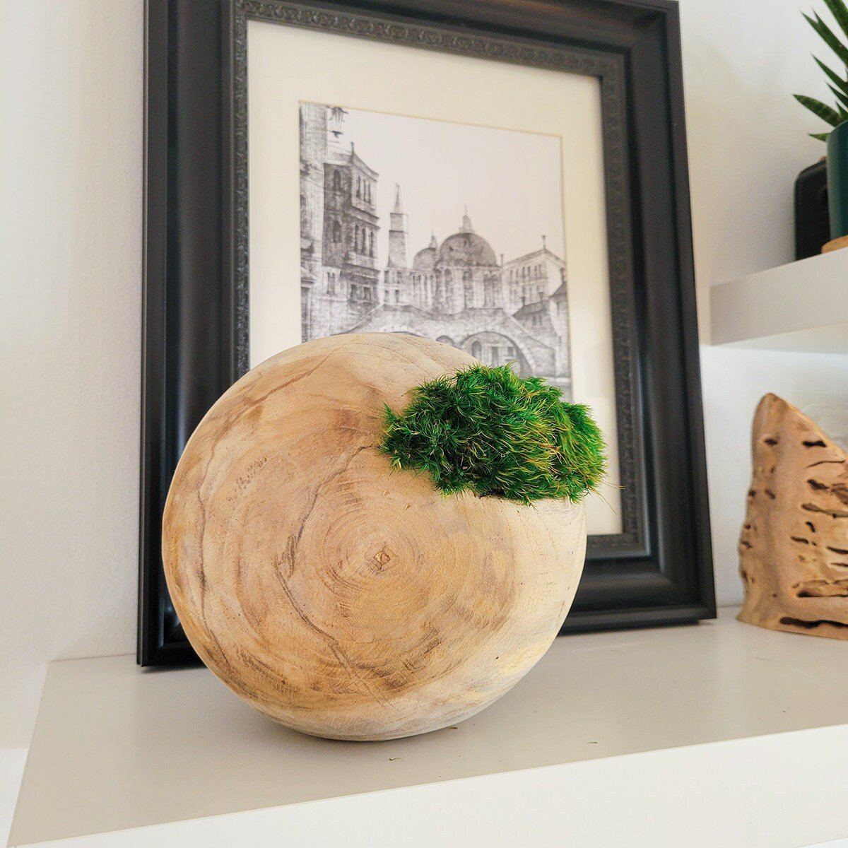 Preserved Moss hugging wooden carved orbs - Mossy Moss by Olia