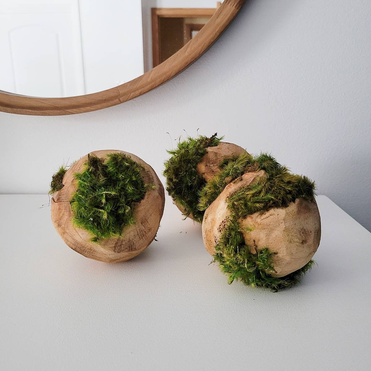 Preserved Moss hugging wooden carved orbs - Mossy Moss by Olia