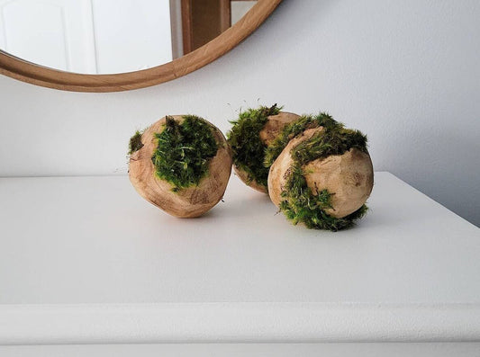 Preserved Moss hugging wooden carved orbs - Mossy Moss by Olia