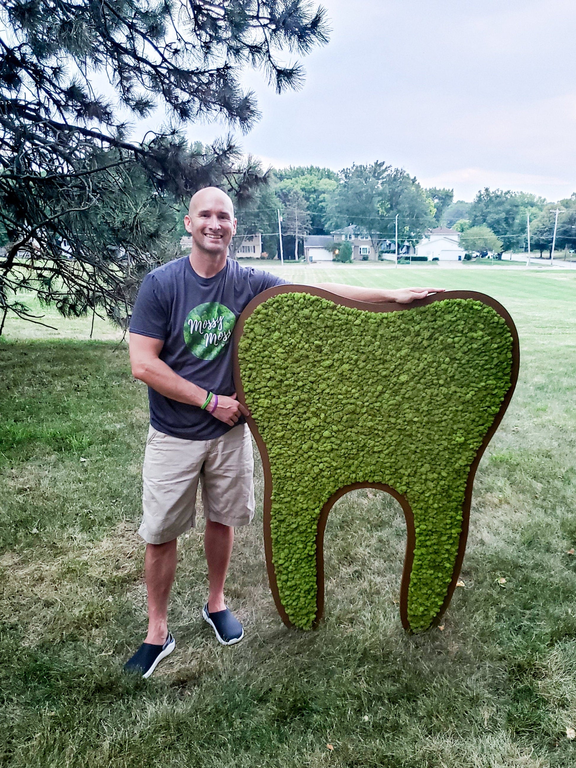 Preserved Moss Tooth for Dentist Offices - Mossy Moss by Olia