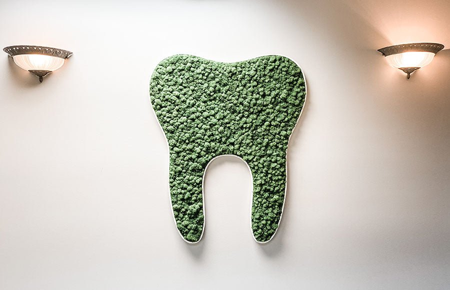 Preserved Moss Tooth for Dentist Offices - Mossy Moss by Olia