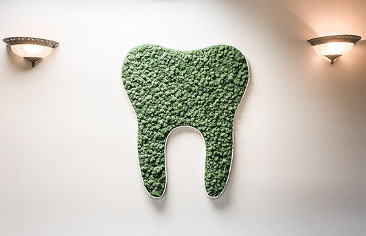 Preserved Moss Tooth for Dentist Offices - Mossy Moss by Olia